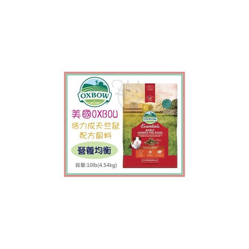 【A-621】美國OXBOW活力成天飼料 4.54kg 成天 天竺鼠飼料 (紅利130000點)