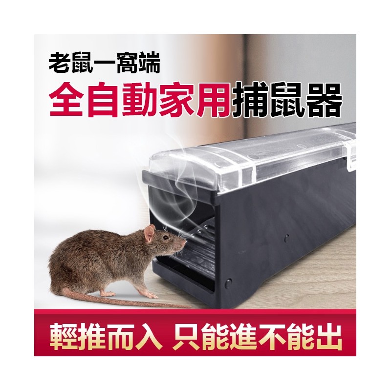 【B-454】全自動捕鼠器 自動靈敏誘捕 鼠洞式捕鼠器 捕鼠器 捕鼠 捕鼠籠 捕鼠神器 滅鼠 驅鼠 老鼠籠 抓老鼠" 3入/組 (紅利51000點)